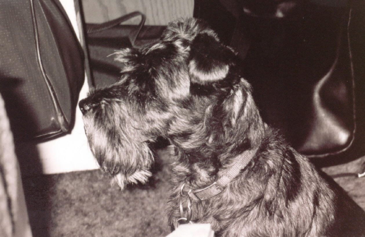 Black and White photo of Shadow