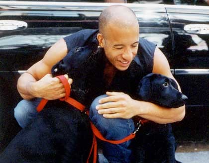 Vin Diesel with his pups