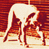 Muybridge's dog