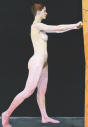 zagi painting