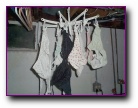Cara's panty drawer