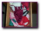 Cara's panty drawer