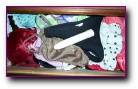 Cara's panty drawer