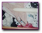 Cara's panty drawer