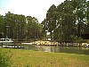 Alligator Point