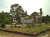 Alligator Point