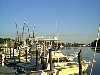Carrabelle River
