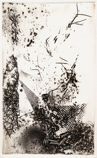 Pirografia - senza titolo. Autore: Paolo Chirco