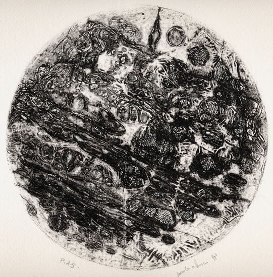 Collografia, pirografia - senza titolo. Autore: Paolo chirco