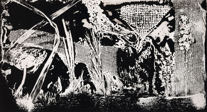 Collografia- senza titolo. Autore: Paolo Chirco