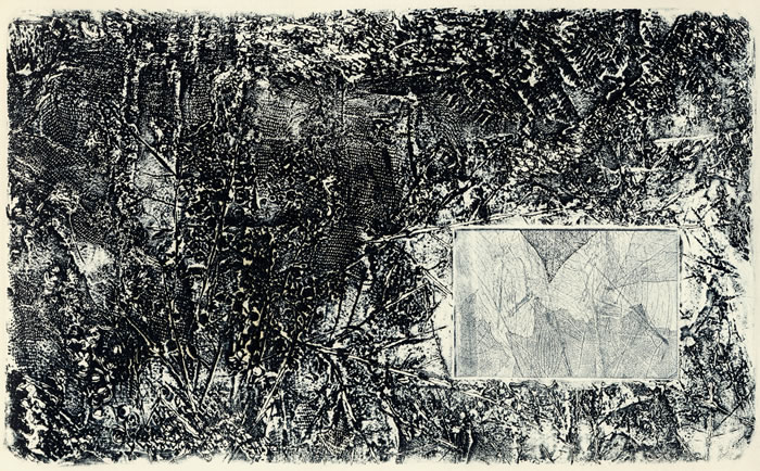 Collografia, vernice molle - senza titolo. Autore: Paolo Chirco