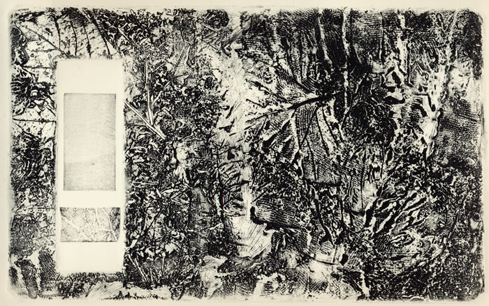 Collografia, ceramolle - senza titolo. Autore: Paolo Chirco