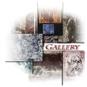 sfoglia la galleria