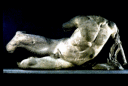 thm_10torso.gif