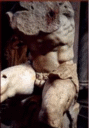 thm_11belvedere_torso.gif