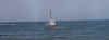 Peter and I sailing 2000.jpg (40366 bytes)