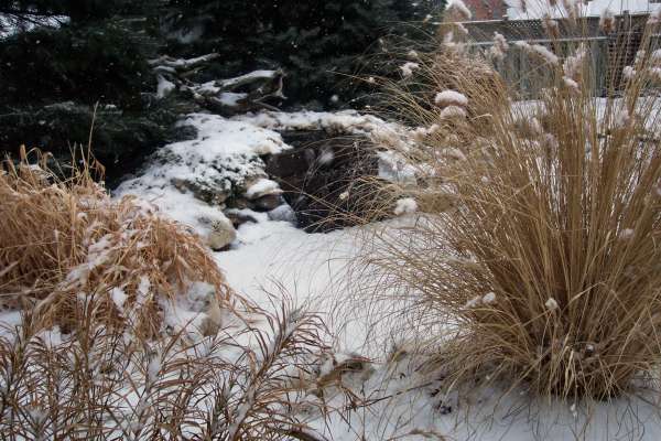 grass/0033_grass.jpg