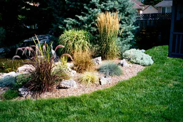 grass/0116_0.jpg