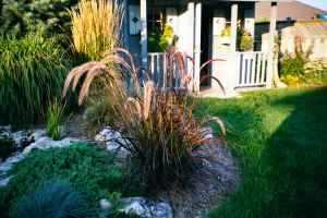 grass/0116_19.jpg
