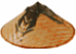 plcolor.JPG (15129 bytes)