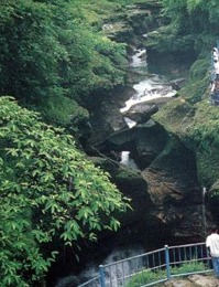 Devis Falls