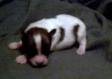 New photo of Alban/Petey 9/6