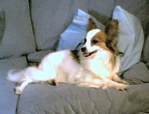 Patsy