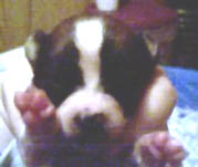 Hi mom!