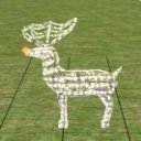 Proliferating Reindeer