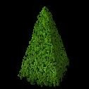 Missink Point Mystery Topiary
