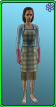 Cleaning Apron