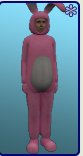 Hippity Hoppity Bunny Suit