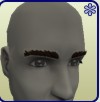 Thick Brows