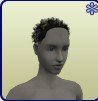 Female Fried Hair