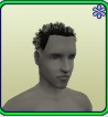 Male Fried Hair
