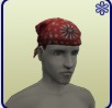 University Bandana