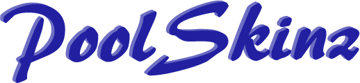 skinz logo