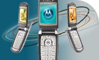 Hfybro Wins Motorola Innovation Award for 2005!