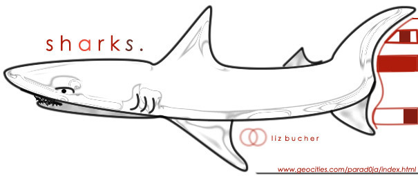 Shark Three Graphic by Liz Bucher