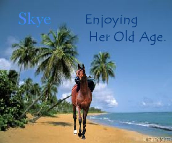 This is Skye.