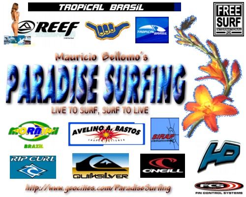 PARADISE SURFING