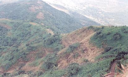 The hills...