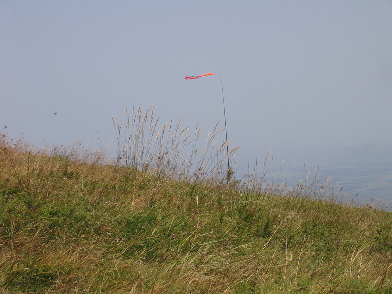 Be free as the wind is