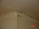 site2_gallery001002.jpg