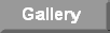 site2_gallery001012.gif