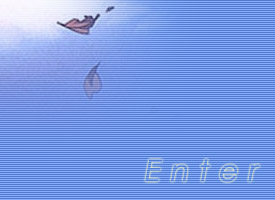 requirements | 1024 x768 | IE6 | iFrames | open heart | open mind