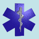 De Star of Life; een herkenbaar symbool