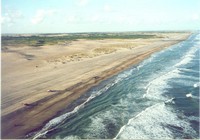 Volando en Pinamar