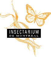 INSECTARIUM DE MONTR�AL&nbsp; -&nbsp; MONTREAL INSECTARIUM