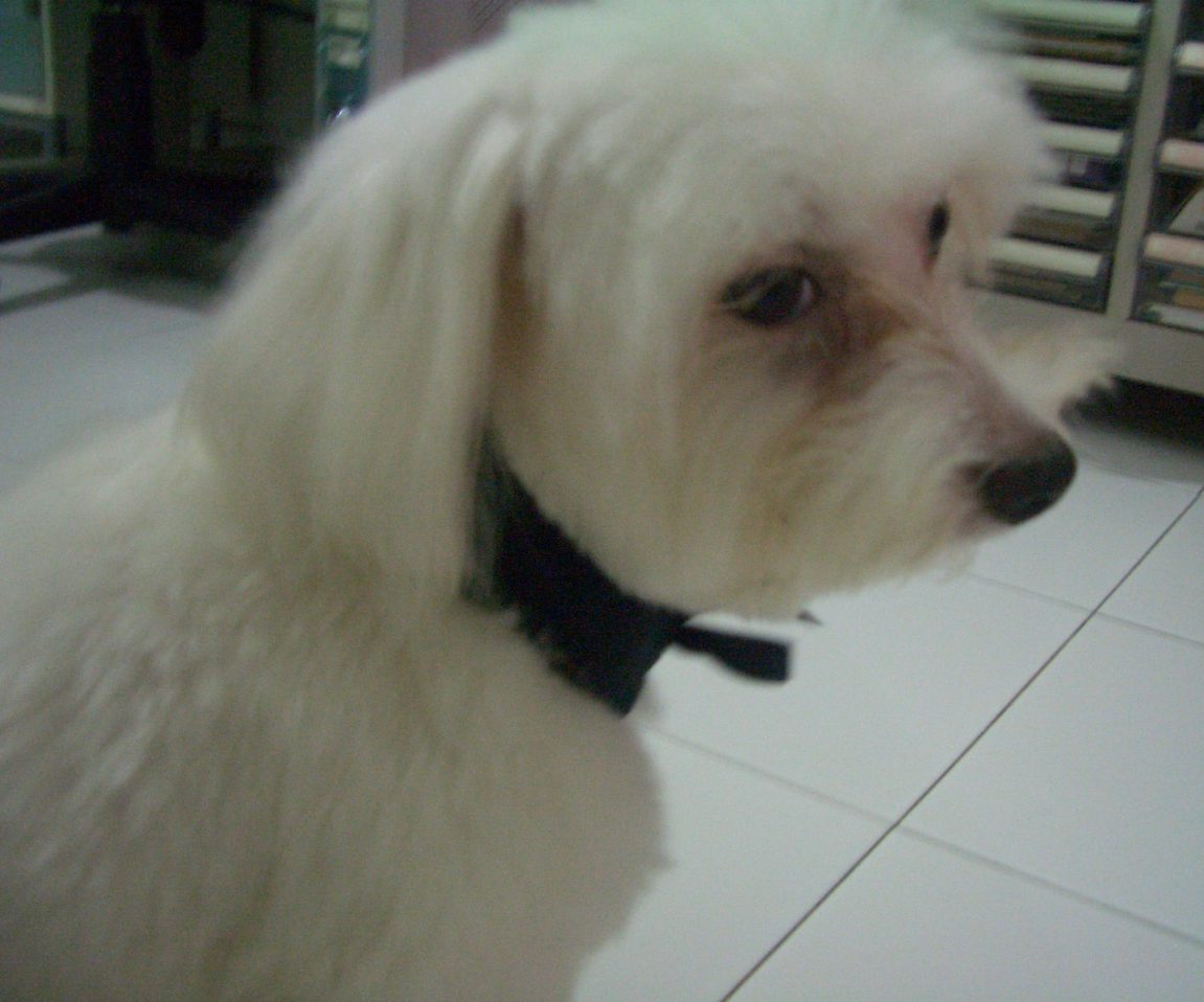 This angle is just sooo jrock...haha~